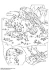 Coloring page eagle