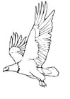 Coloring page eagle