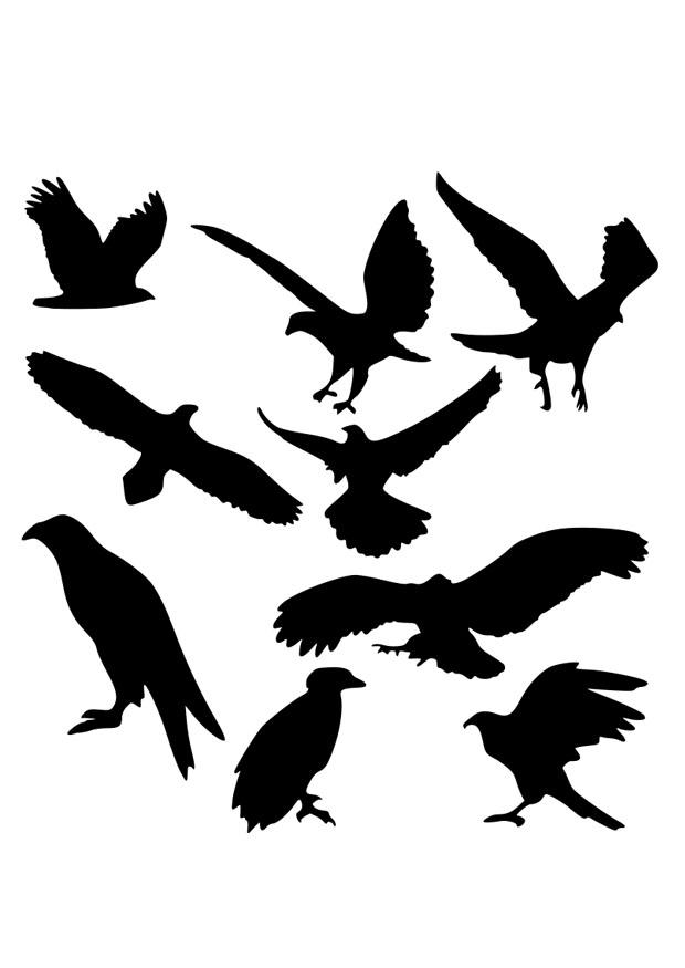 Coloring page eagle silhouets