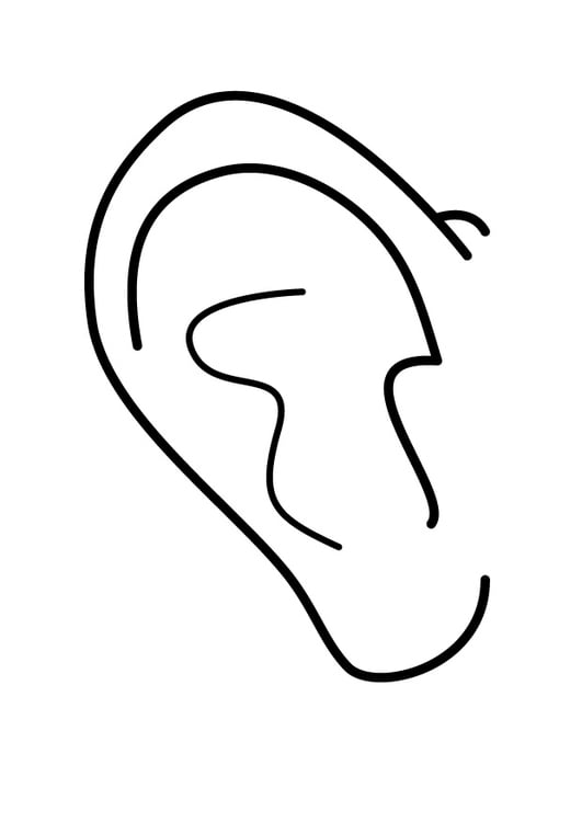 Coloring page ear