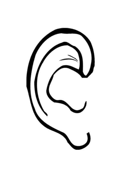 ears coloring page