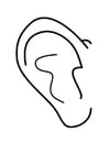 Coloring page ear