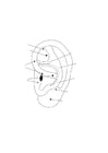 Coloring pages ear