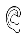 Coloring pages ear