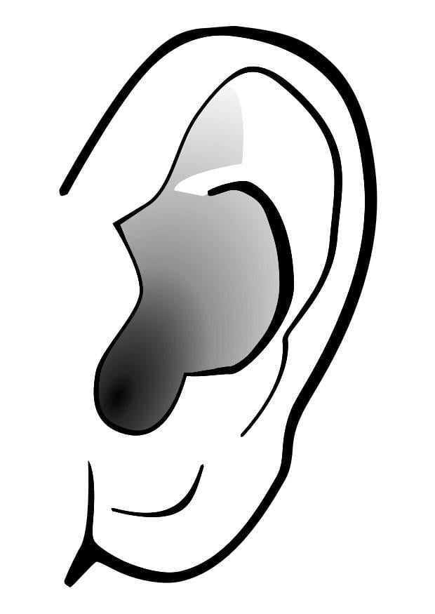 Coloring page ear - silence