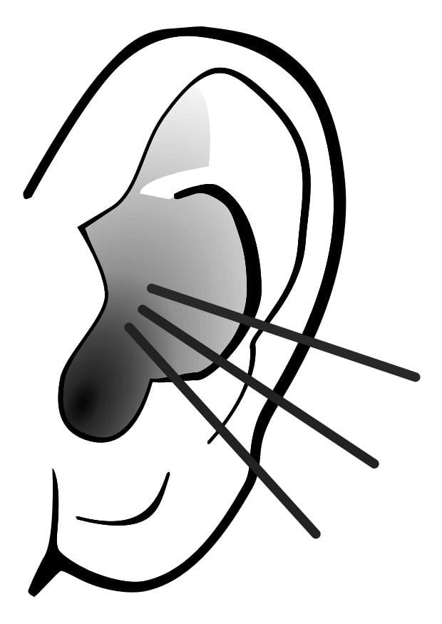 Coloring page ear - sound