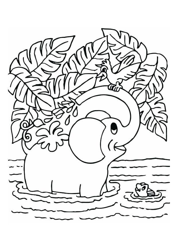 Coloring page elephant