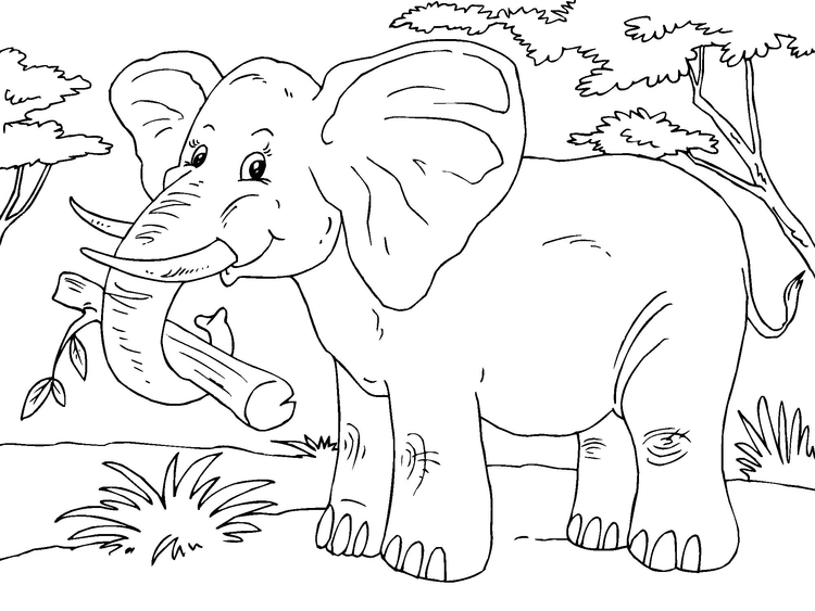 Coloring page elephant