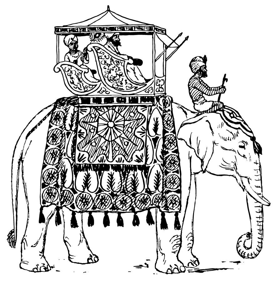 Coloring page elephant in India