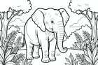 elephant in the forest