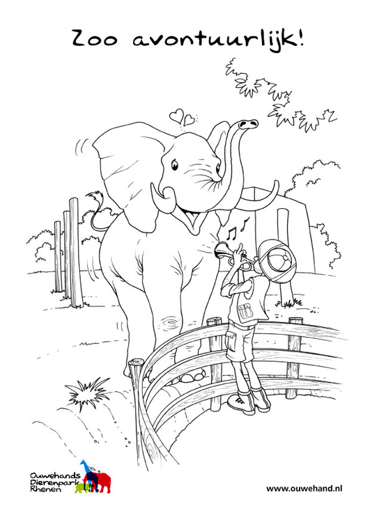 Coloring page elephant in the zoo