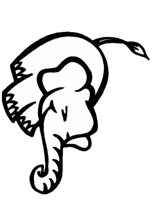 elephant