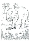 Coloring pages elephant