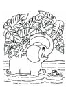 Coloring pages elephant