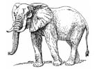 Coloring page elephant