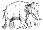 Coloring pages elephant