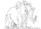 Coloring pages elephant