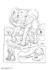 Coloring pages elephant