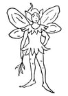 Coloring pages elf