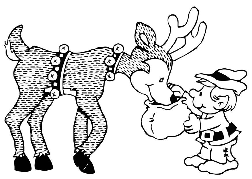 Coloring page elf with reindeer
