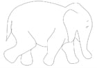 Coloring page eliphant