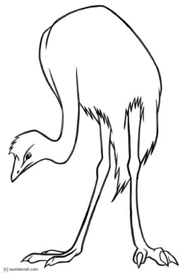 Coloring page emu