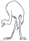 Coloring page emu