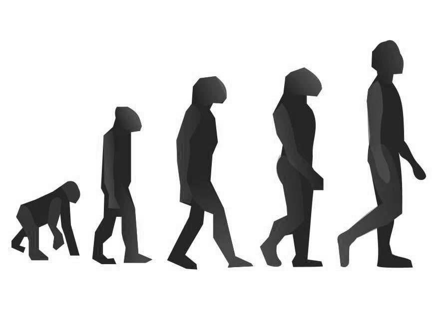Coloring page evolution