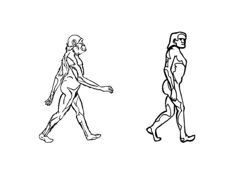 Coloring page evolution