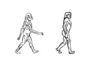 Coloring page evolution