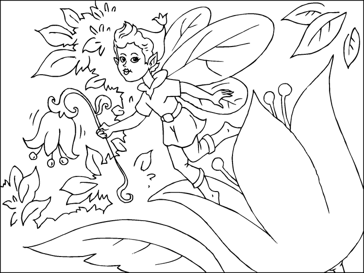 Coloring page fairy