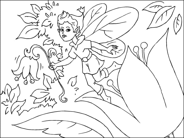 Coloring page fairy