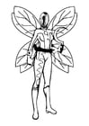 Coloring pages fairy