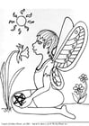 Coloring page fairy