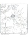 Coloring page fairy