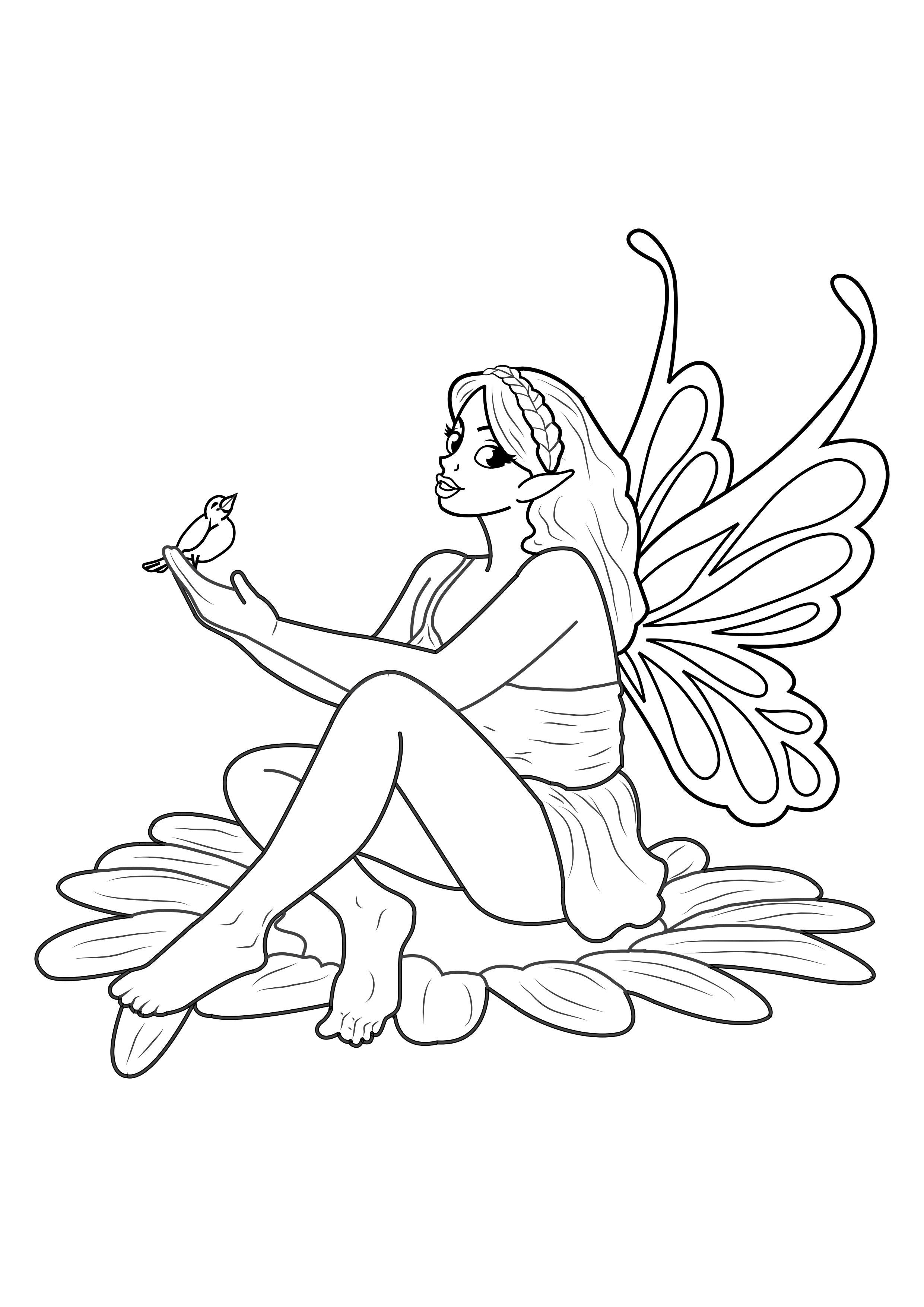 Coloring page fairy with bird