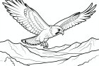 falcon