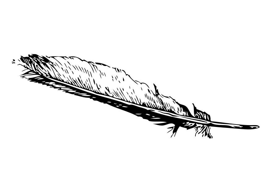 Coloring page Feather
