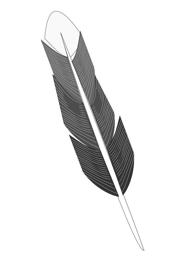 Coloring page feather