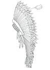 feather headdress