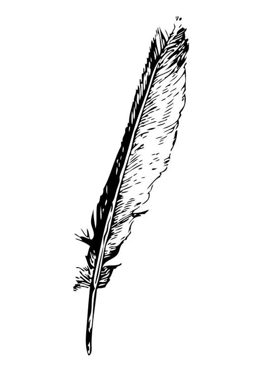 Feather