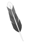 Coloring page feather