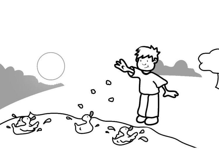 Coloring page feeding the ducks