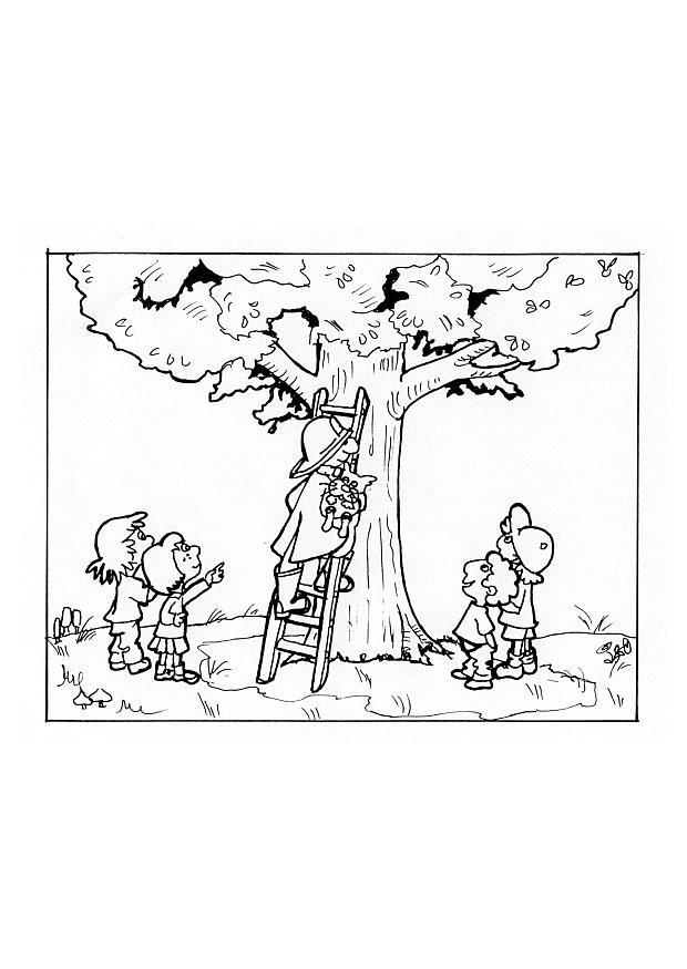 Coloring page fireman rescues cat in tree
