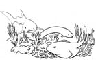 Coloring page fish and sharks