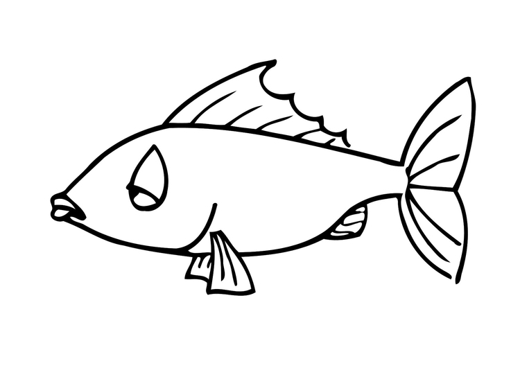 Coloring page fish