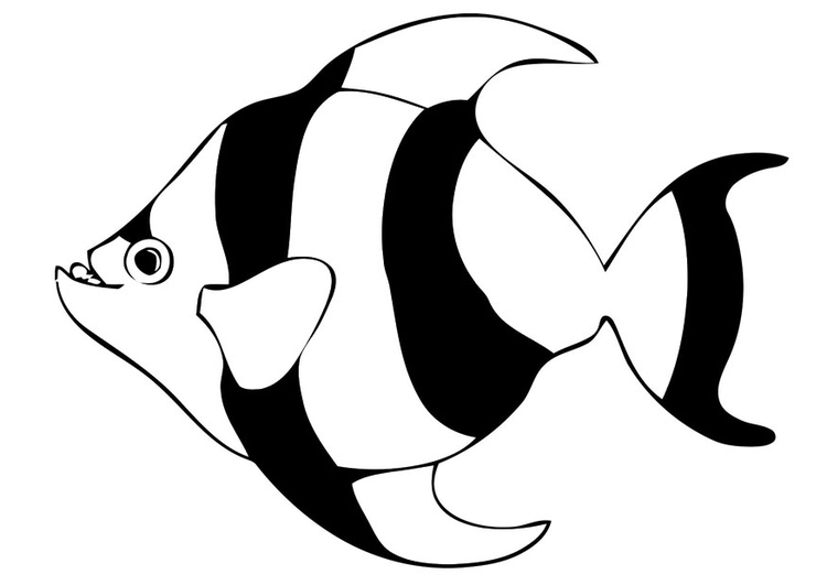 Coloring page fish