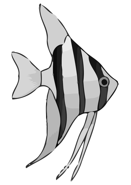 Coloring page fish