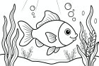 fish in the water