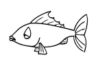 Coloring page fish